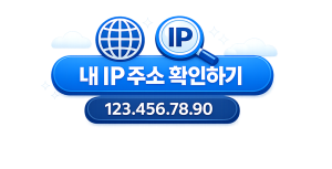 나의 IP 확인하기(AI생성)